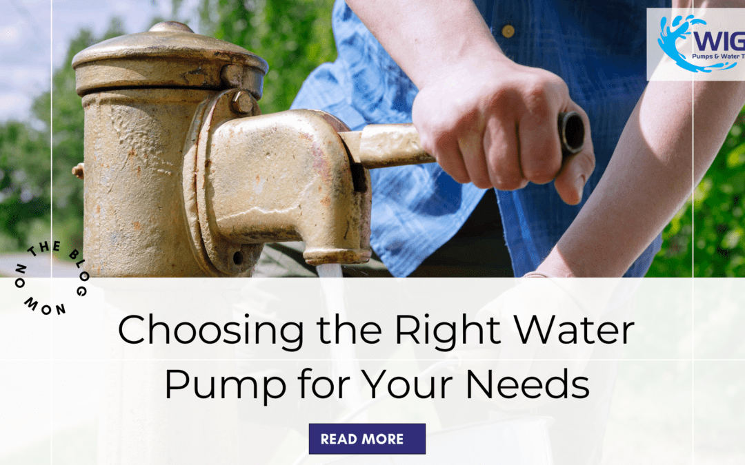 Choosing the Right Water Pump for Your Needs
